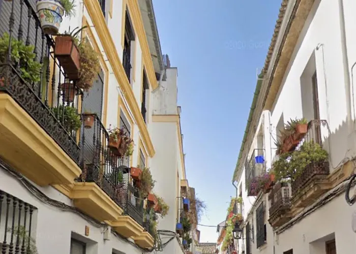 Evoca * Кордова